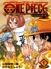 one piece ace