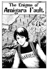 The Enigma of Amigara Fault