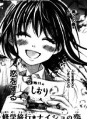 Shugaku Ryoko – Naisho no Koi