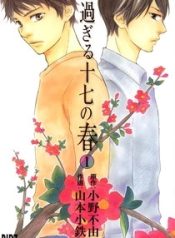Sugiru Juunana no Haru