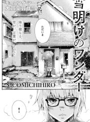 Yukiake no Wonder