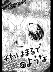Sore wa Maru de Yume no You na