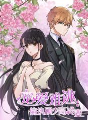 large_cover