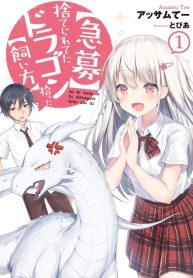 Suterareteta Dragon Hirotta